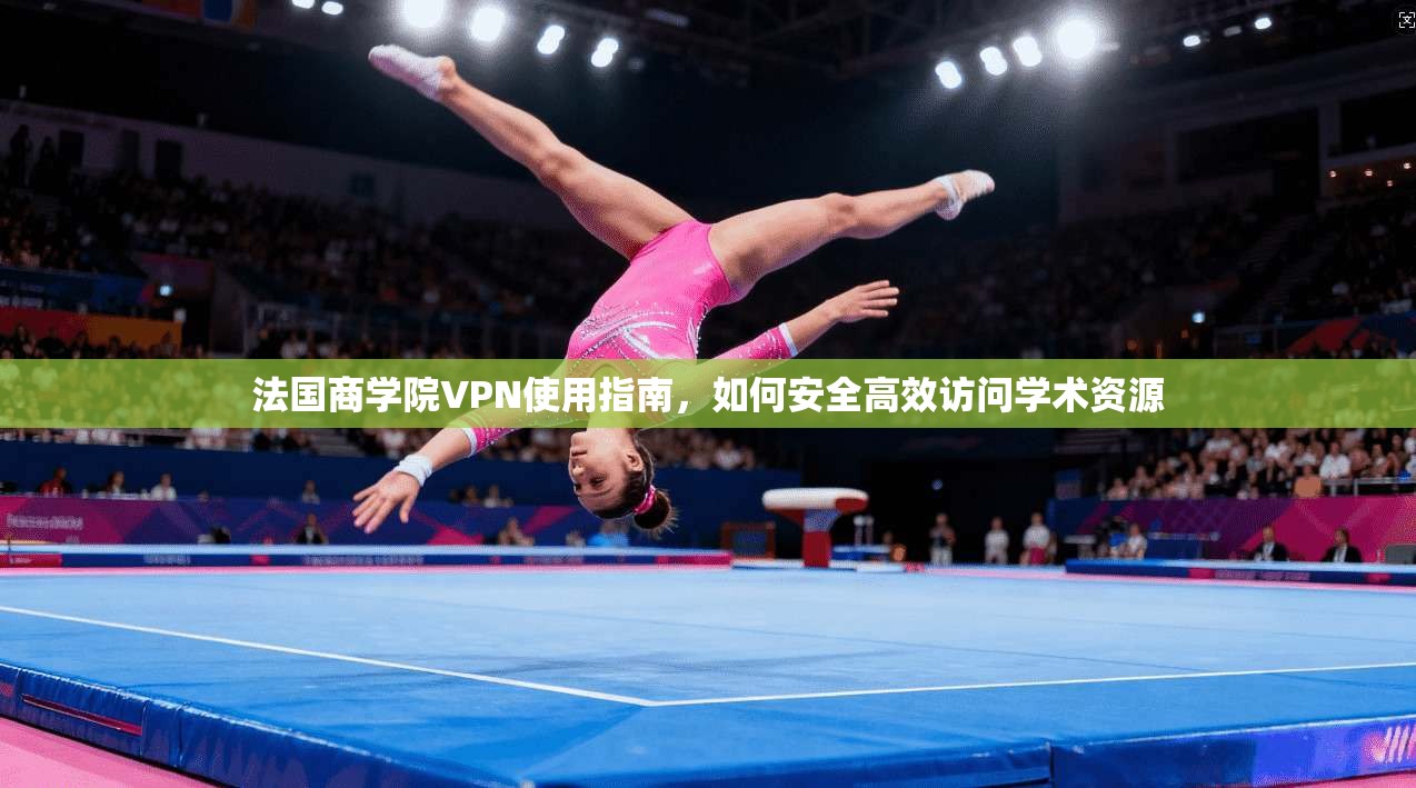 法国商学院VPN使用指南，如何安全高效访问学术资源