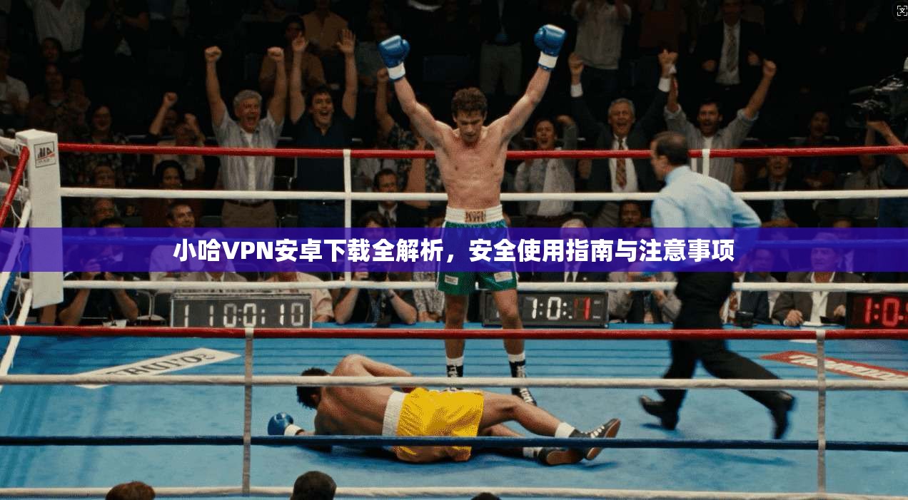 小哈VPN安卓下载全解析,安全使用指南与注意事项 小哈VPN安卓下载全解析,安全使用指南与注意事项