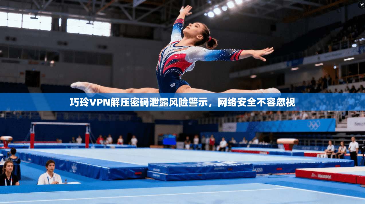 巧玲VPN解压密码泄露风险警示，网络安全不容忽视