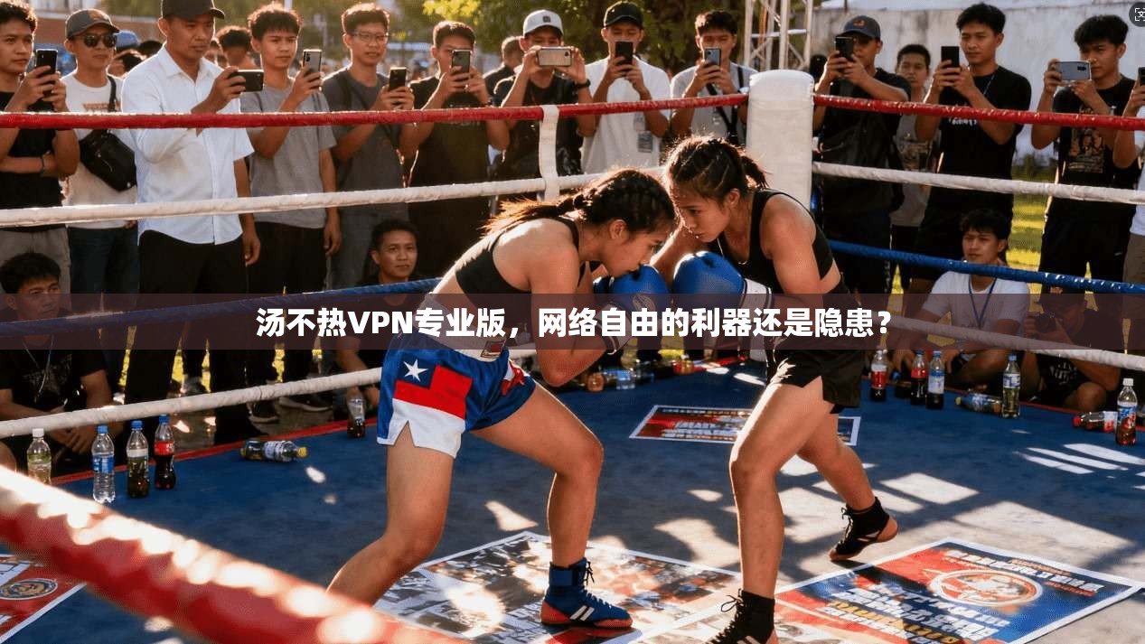 汤不热VPN专业版,网络自由的利器还是隐患? 汤不热VPN专业版,网络自由的利器还是隐患?
