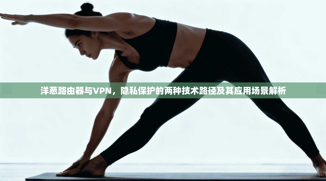 洋葱路由器与VPN，隐私保护的两种技术路径及其应用场景解析