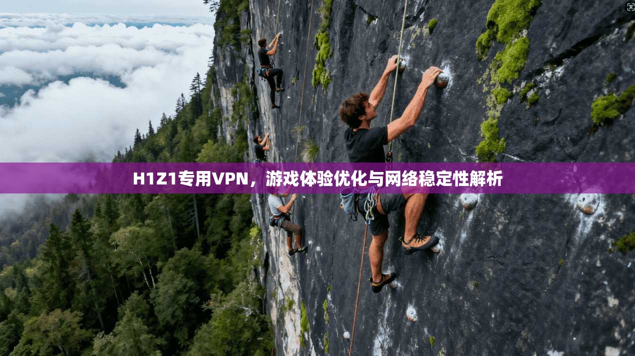 H1Z1专用VPN，游戏体验优化与网络稳定性解析