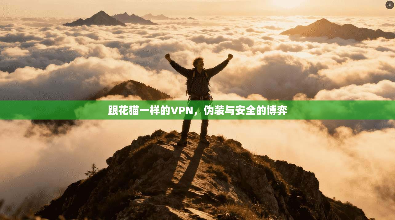 跟花猫一样的VPN，伪装与安全的博弈