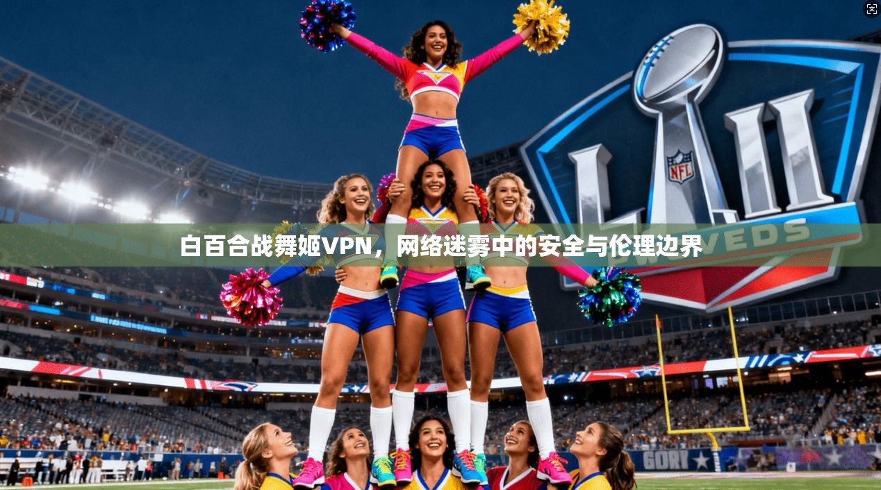 白百合战舞姬VPN，网络迷雾中的安全与伦理边界