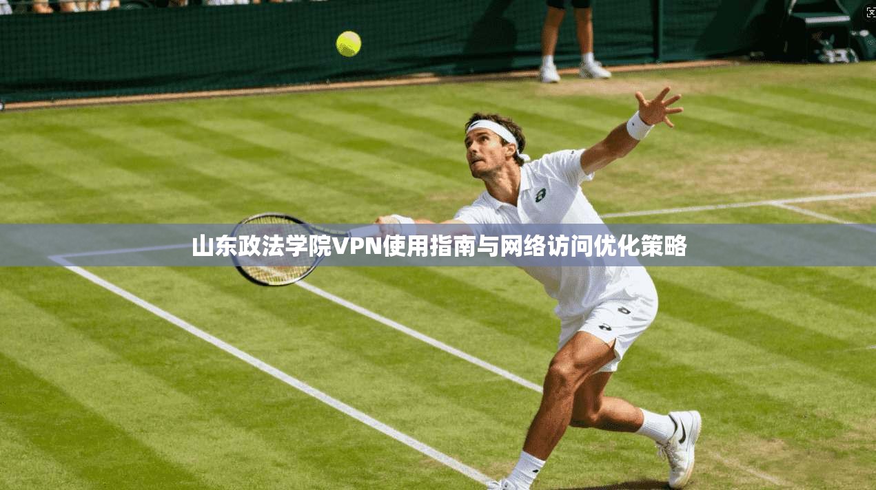 山东政法学院VPN使用指南与网络访问优化策略