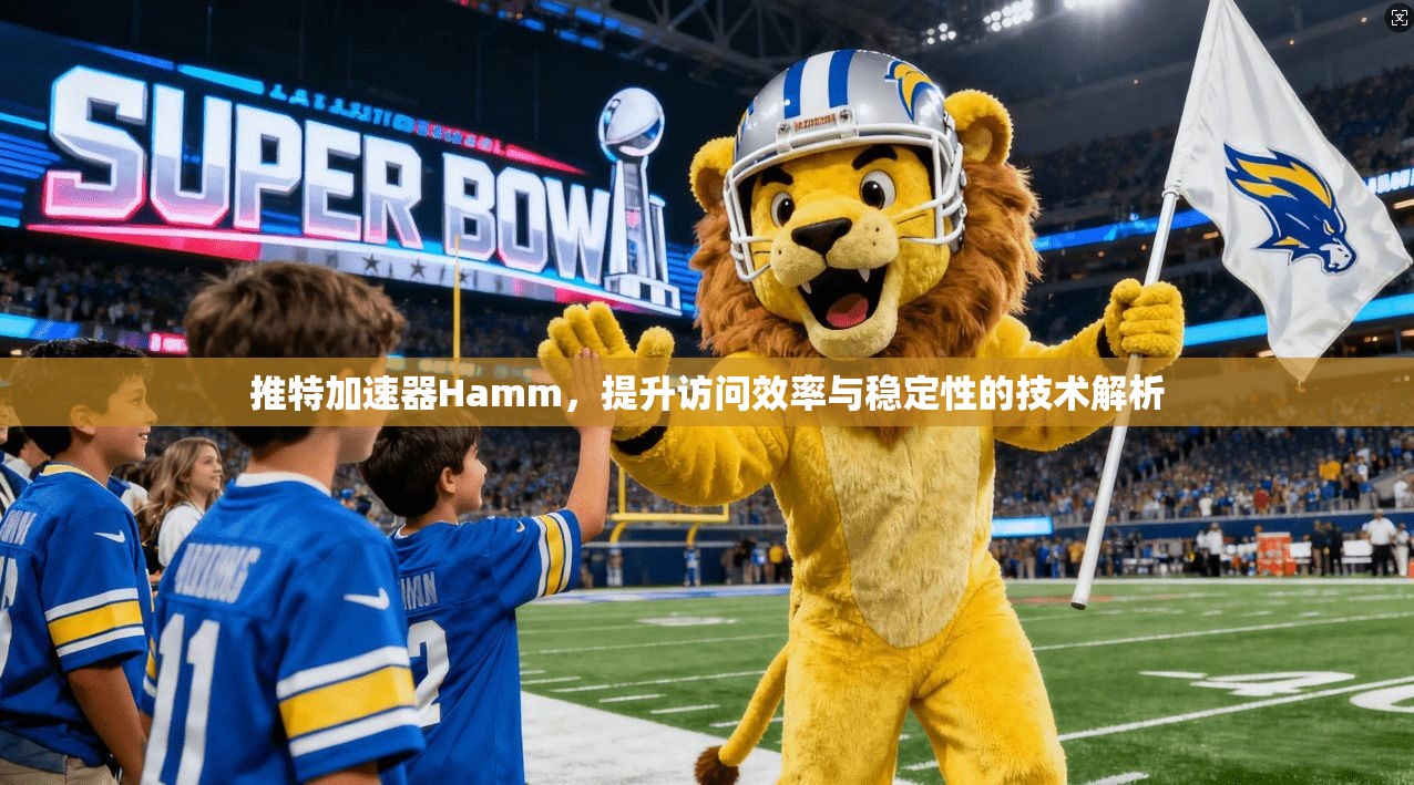 推特加速器Hamm，提升访问效率与稳定性的技术解析