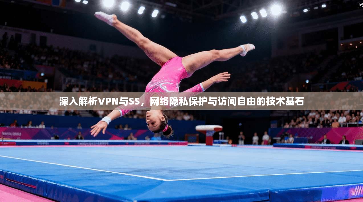 深入解析VPN与SS，网络隐私保护与访问自由的技术基石
