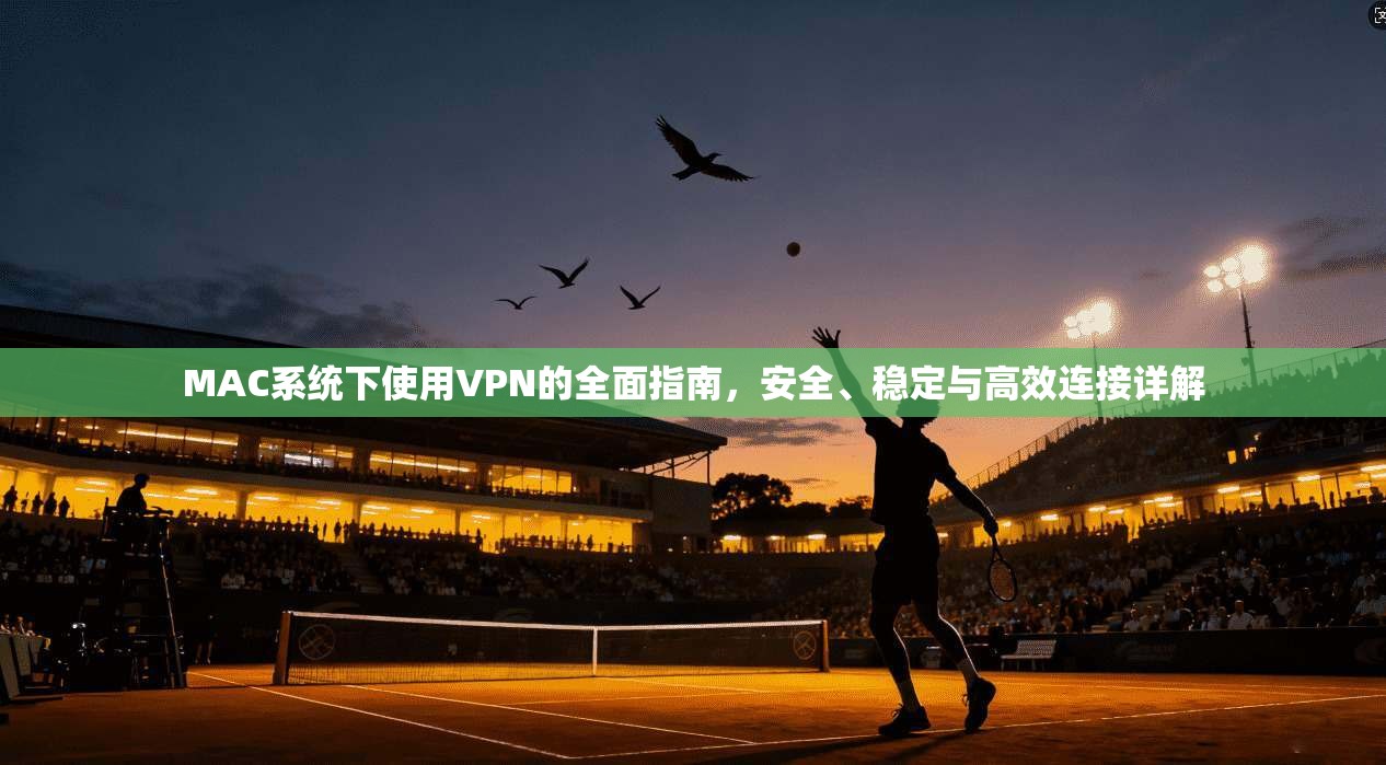 MAC系统下使用VPN的全面指南，安全、稳定与高效连接详解
