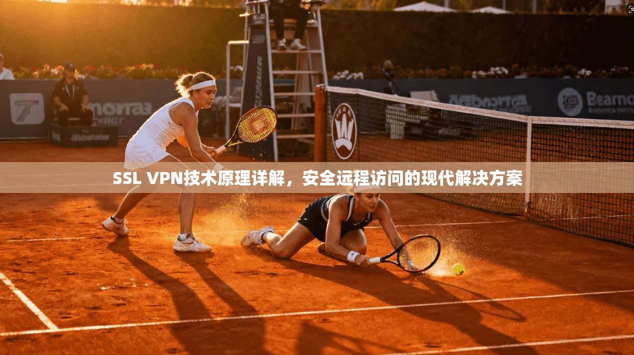 SSL VPN技术原理详解，安全远程访问的现代解决方案