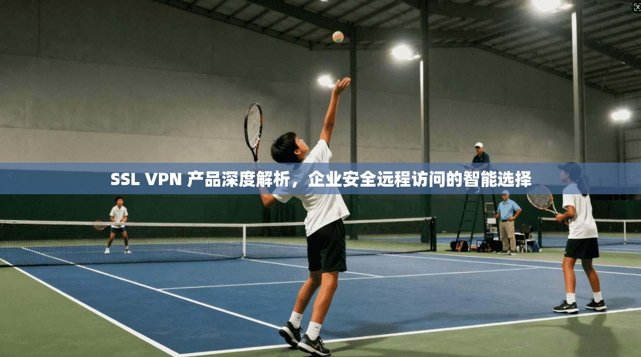 SSL VPN 产品深度解析，企业安全远程访问的智能选择