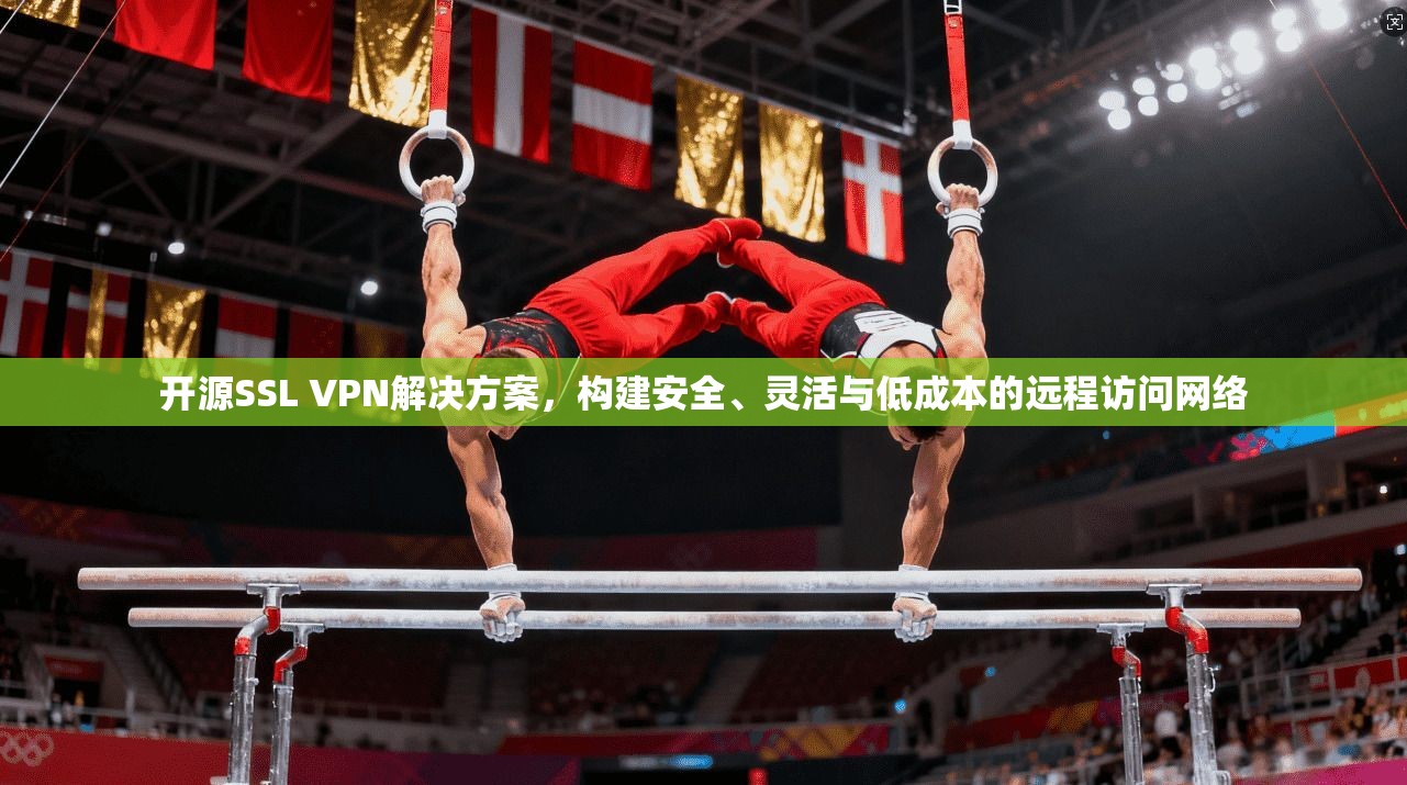 开源SSL VPN解决方案，构建安全、灵活与低成本的远程访问网络