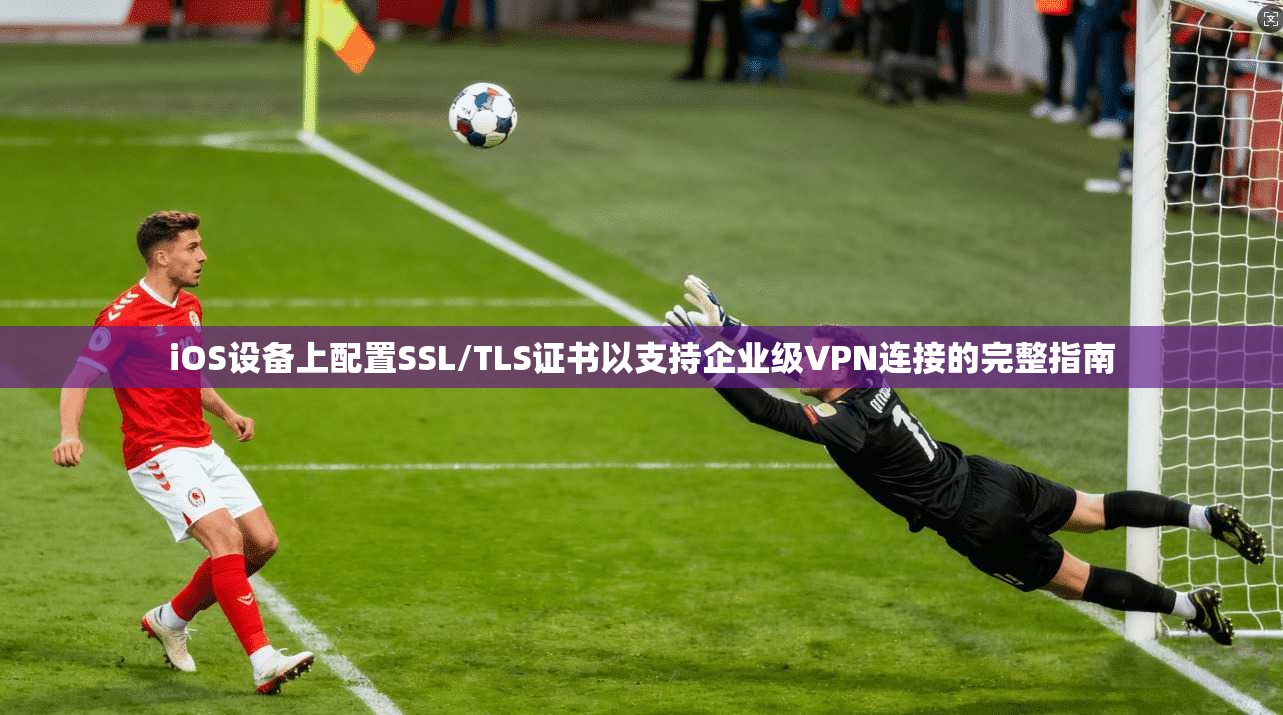 iOS设备上配置SSL/TLS证书以支持企业级VPN连接的完整指南