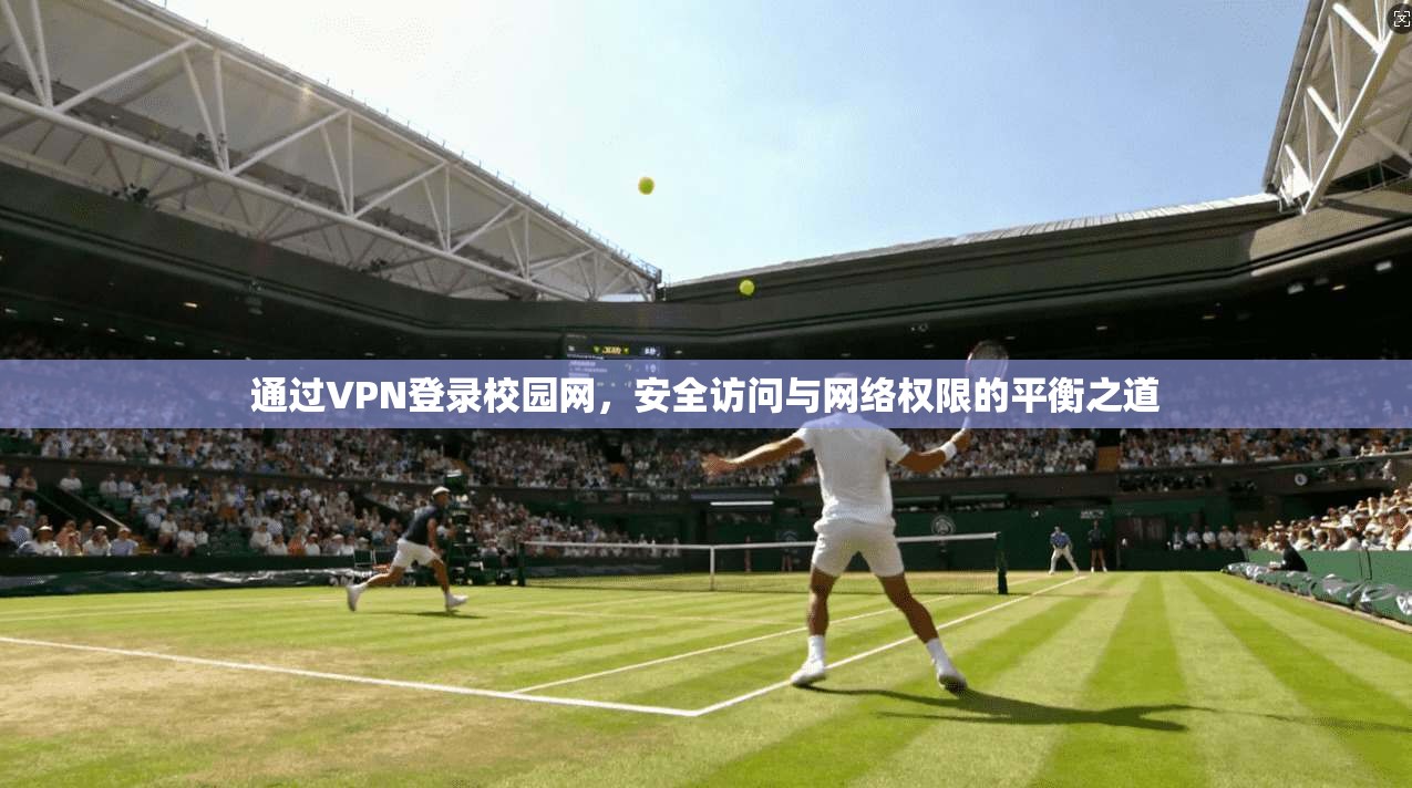 通过VPN登录校园网,安全访问与网络权限的平衡之道 通过VPN登录校园网,安全访问与网络权限的平衡之道