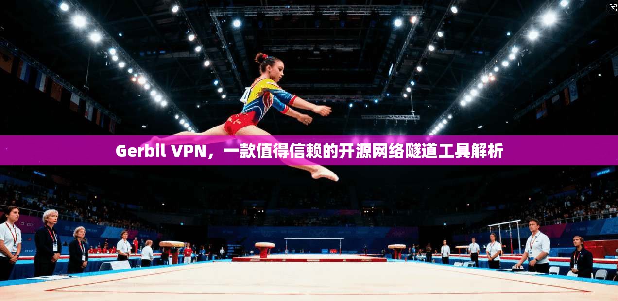 Gerbil VPN,一款值得信赖的开源网络隧道工具解析 Gerbil VPN,一款值得信赖的开源网络隧道工具解析
