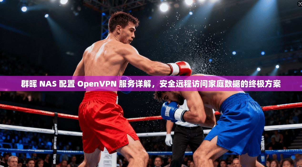 群晖 NAS 配置 OpenVPN 服务详解，安全远程访问家庭数据的终极方案