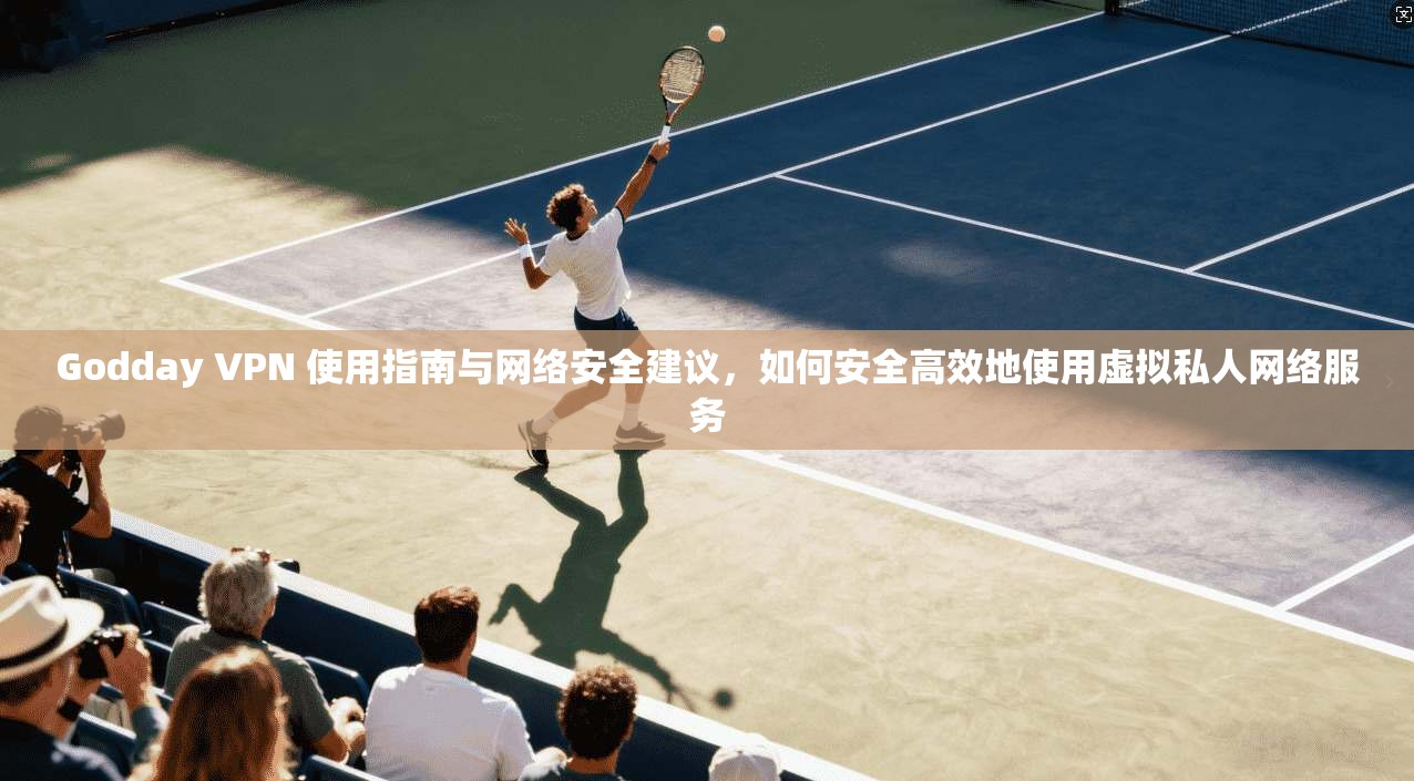 Godday VPN 使用指南与网络安全建议，如何安全高效地使用虚拟私人网络服务