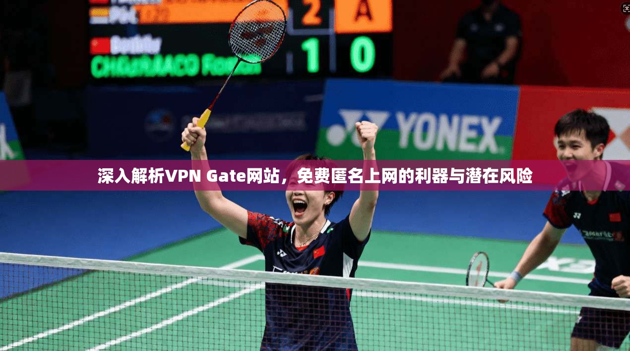 深入解析VPN Gate网站，免费匿名上网的利器与潜在风险