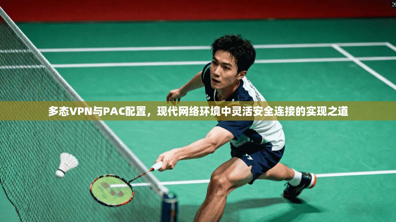 多态VPN与PAC配置，现代网络环境中灵活安全连接的实现之道