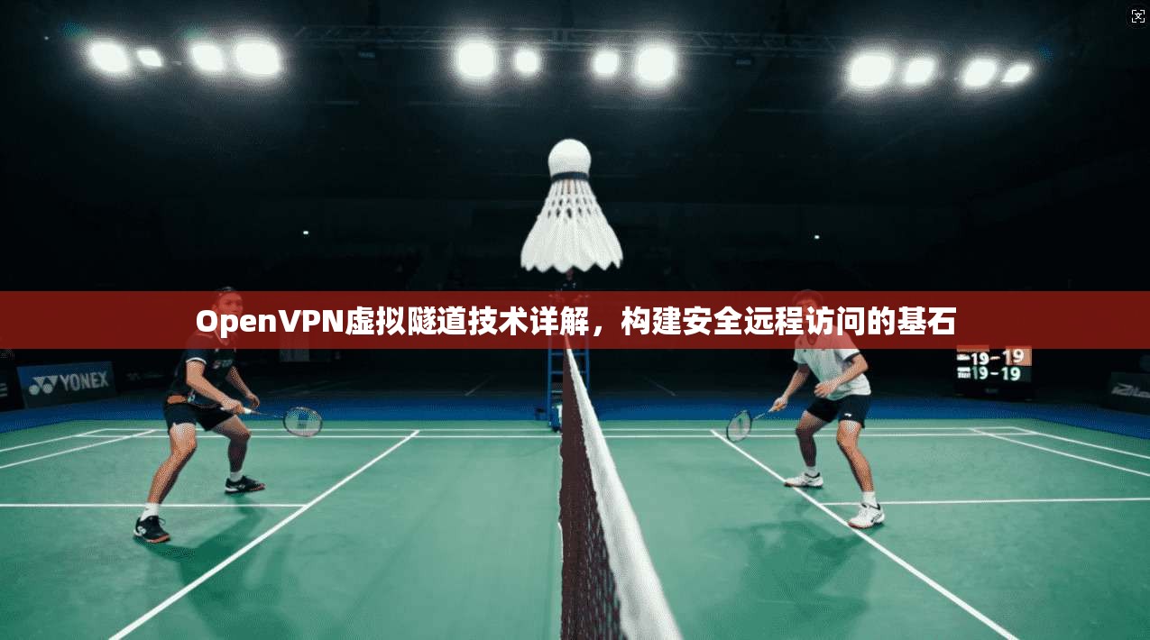 OpenVPN虚拟隧道技术详解,构建安全远程访问的基石 OpenVPN虚拟隧道技术详解,构建安全远程访问的基石