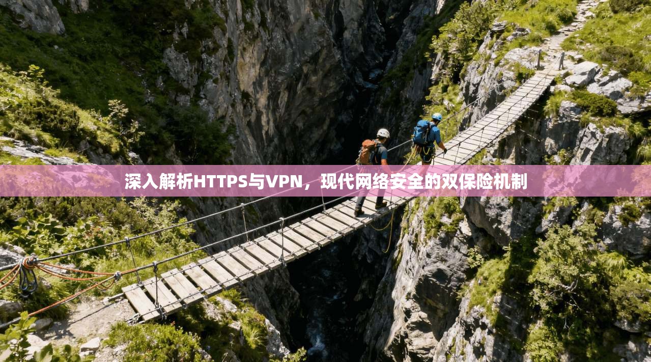 深入解析HTTPS与VPN，现代网络安全的双保险机制