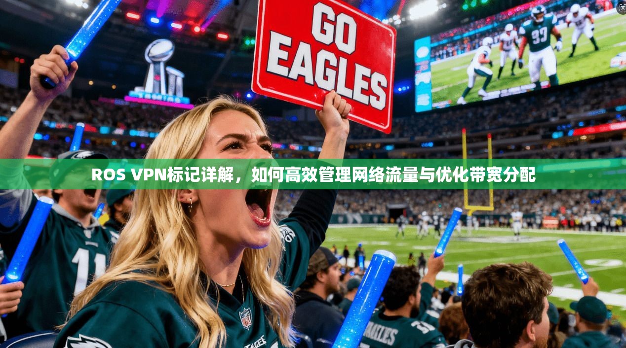 ROS VPN标记详解,如何高效管理网络流量与优化带宽分配