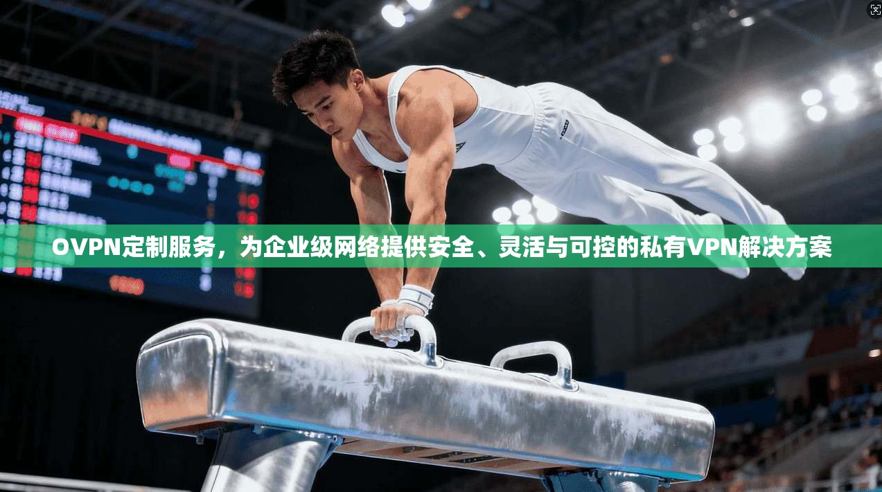 OVPN定制服务，为企业级网络提供安全、灵活与可控的私有VPN解决方案