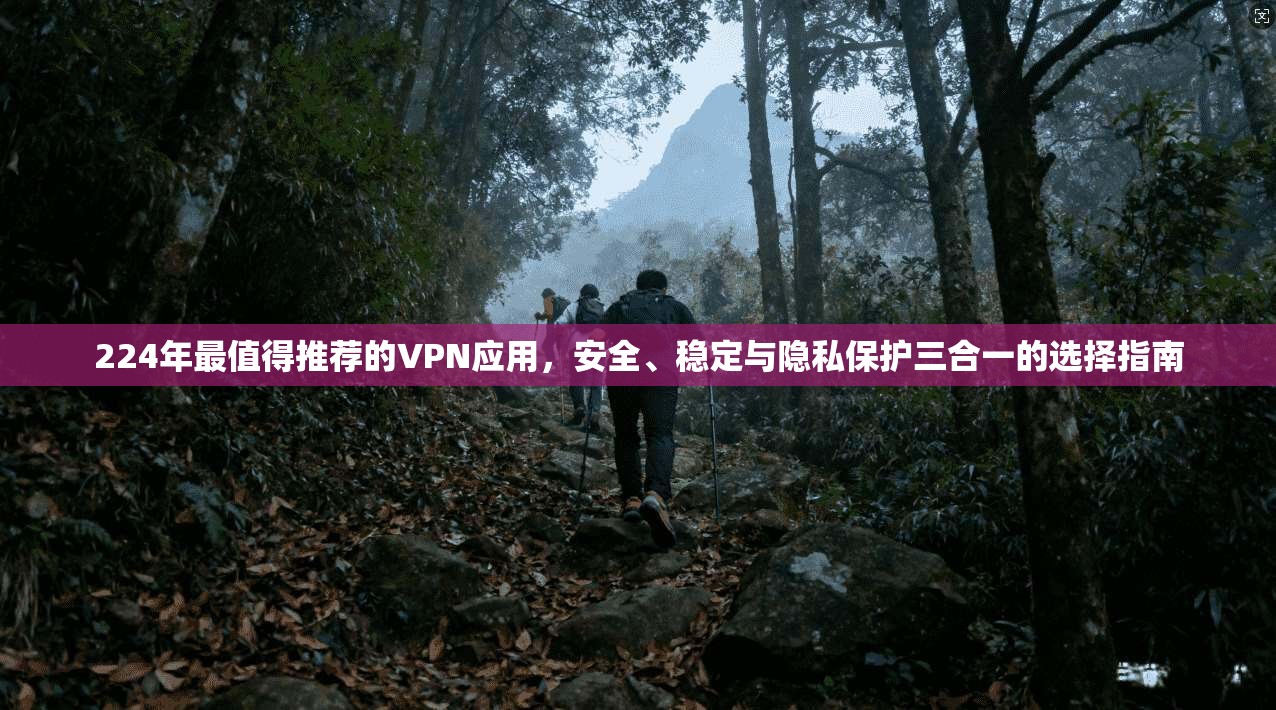 224年最值得推荐的VPN应用，安全、稳定与隐私保护三合一的选择指南