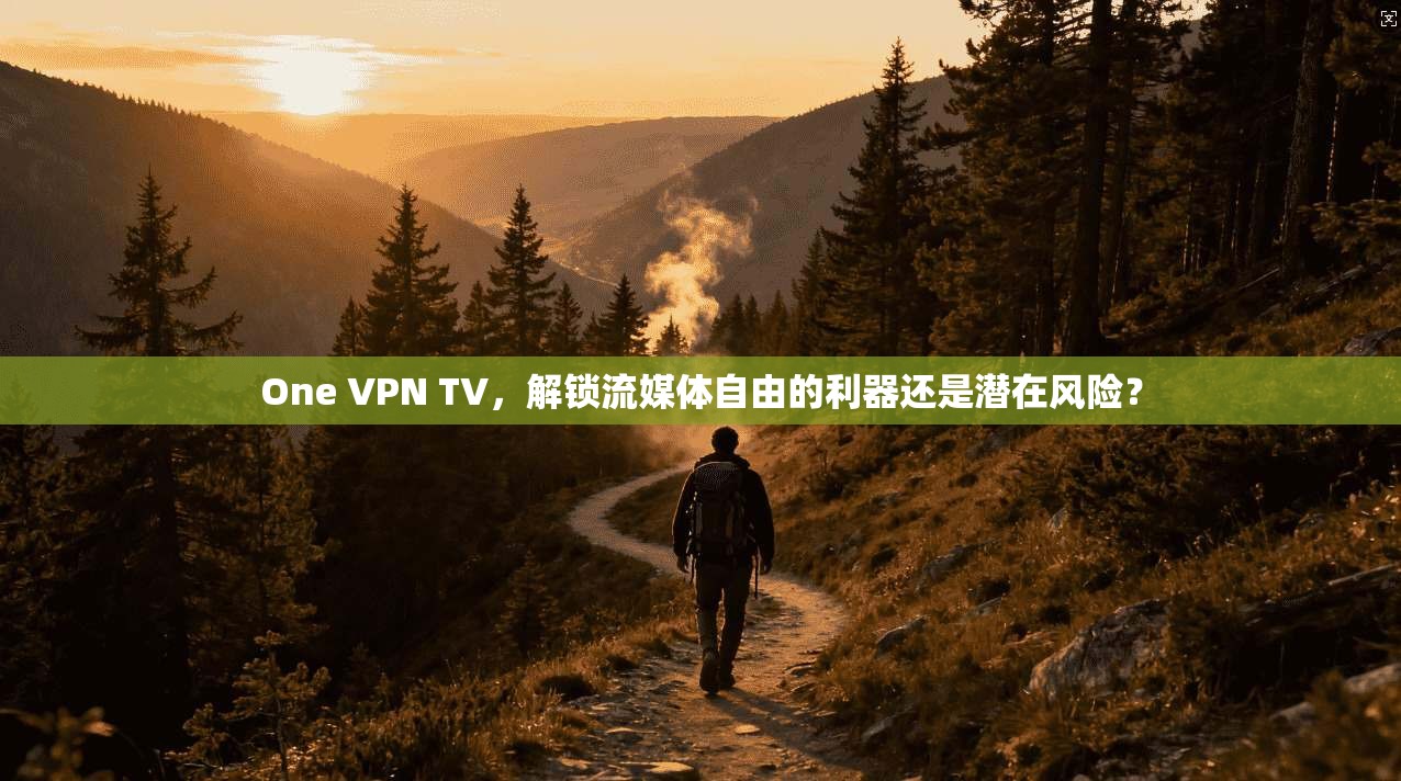 One VPN TV，解锁流媒体自由的利器还是潜在风险？
