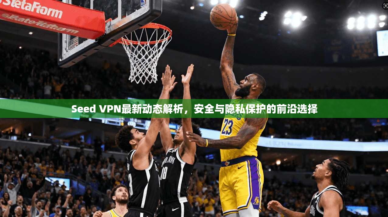 Seed VPN最新动态解析,安全与隐私保护的前沿选择