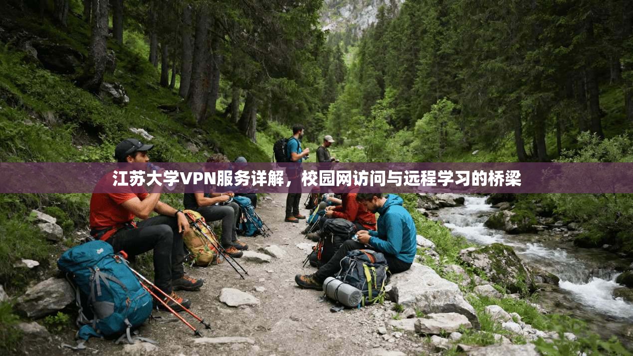 江苏大学VPN服务详解，校园网访问与远程学习的桥梁