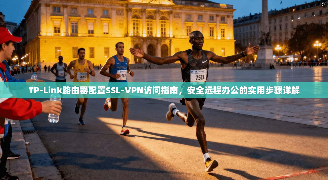 TP-Link路由器配置SSL-VPN访问指南，安全远程办公的实用步骤详解