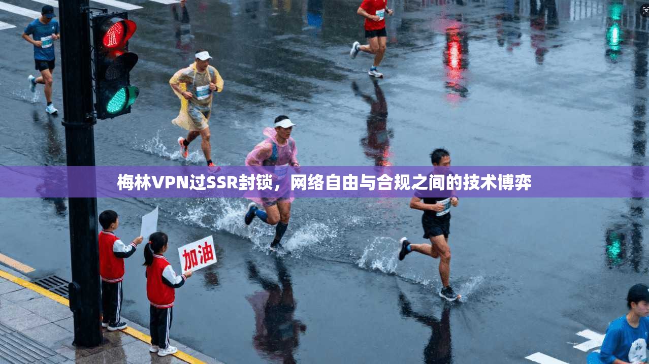 梅林VPN过SSR封锁,网络自由与合规之间的技术博弈