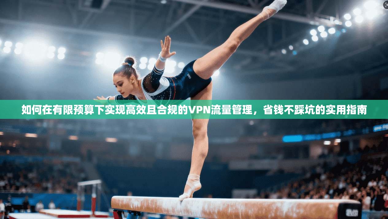 如何在有限预算下实现高效且合规的VPN流量管理，省钱不踩坑的实用指南