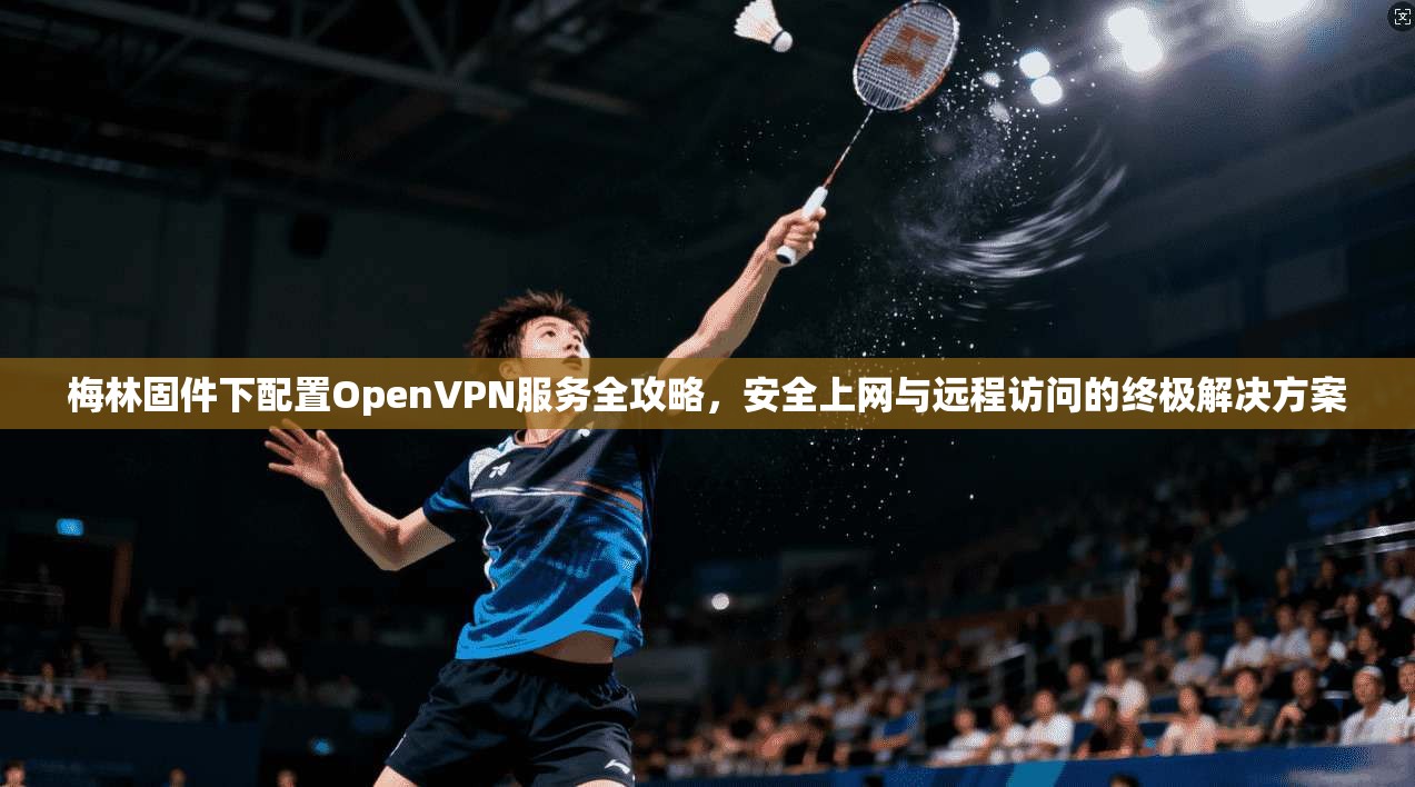 梅林固件下配置OpenVPN服务全攻略，安全上网与远程访问的终极解决方案