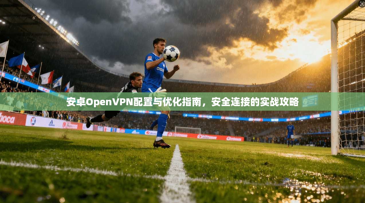 安卓OpenVPN配置与优化指南,安全连接的实战攻略
