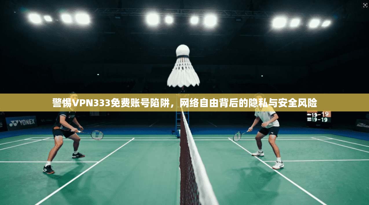 警惕VPN333免费账号陷阱，网络自由背后的隐私与安全风险
