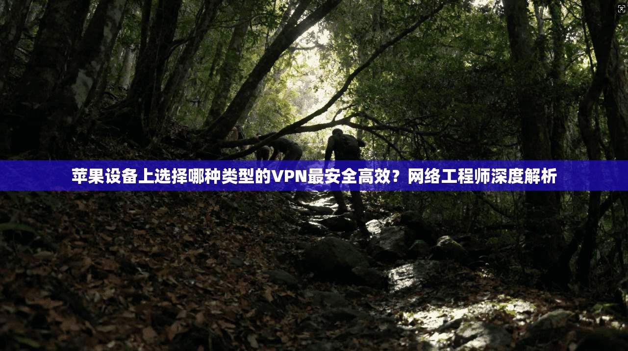 苹果设备上选择哪种类型的VPN最安全高效？网络工程师深度解析