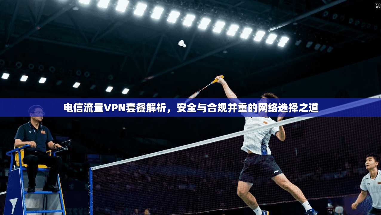 电信流量VPN套餐解析，安全与合规并重的网络选择之道