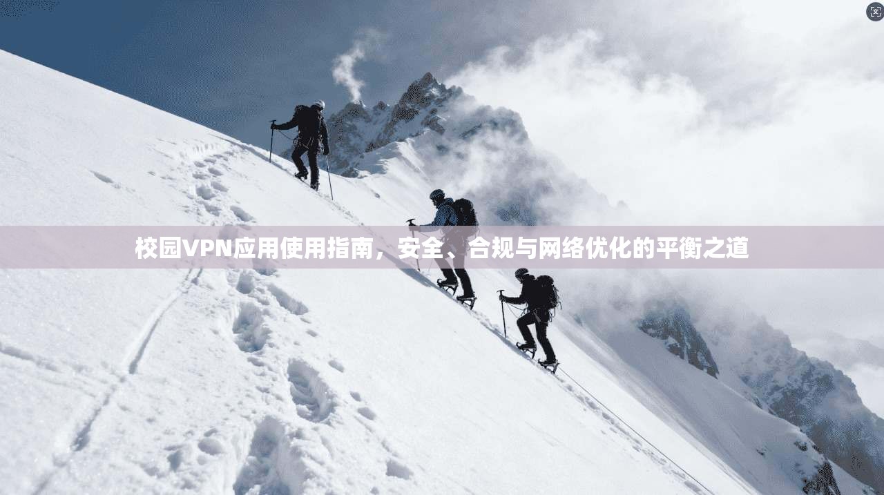 校园VPN应用使用指南，安全、合规与网络优化的平衡之道