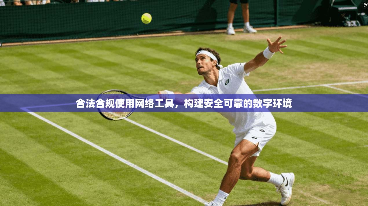合法合规使用网络工具,构建安全可靠的数字环境 合法合规使用网络工具,构建安全可靠的数字环境