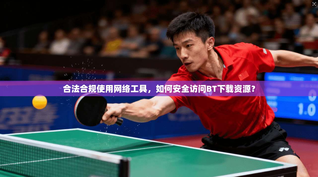 合法合规使用网络工具,如何安全访问BT下载资源? 合法合规使用网络工具,如何安全访问BT下载资源?