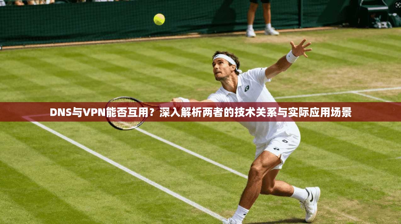 DNS与VPN能否互用?深入解析两者的技术关系与实际应用场景 DNS与VPN能否互用?深入解析两者的技术关系与实际应用场景
