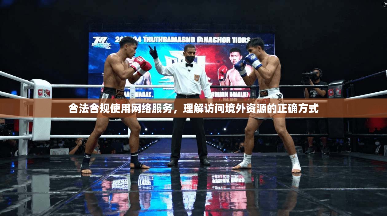 合法合规使用网络服务,理解访问境外资源的正确方式 合法合规使用网络服务,理解访问境外资源的正确方式