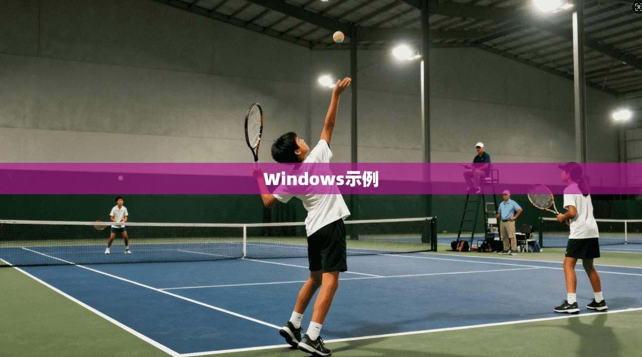 Windows示例 Windows示例