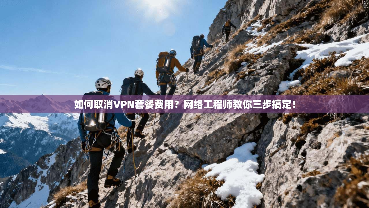 如何取消VPN套餐费用？网络工程师教你三步搞定！