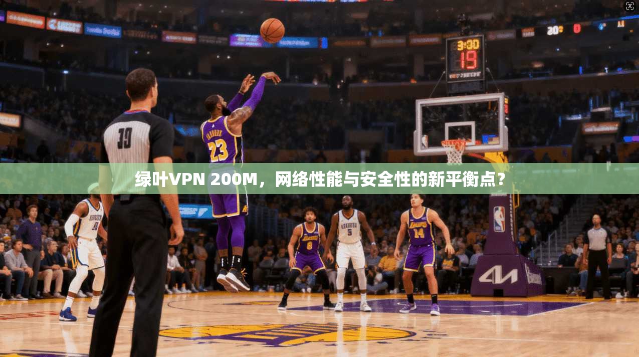 绿叶VPN 200M，网络性能与安全性的新平衡点？