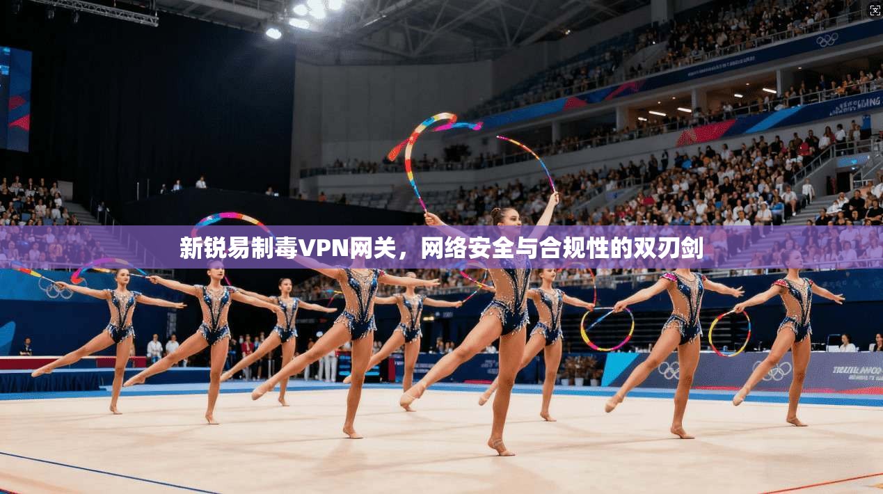 新锐易制毒VPN网关，网络安全与合规性的双刃剑