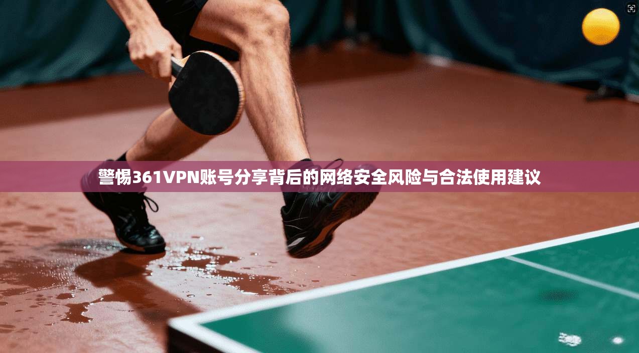 警惕361VPN账号分享背后的网络安全风险与合法使用建议