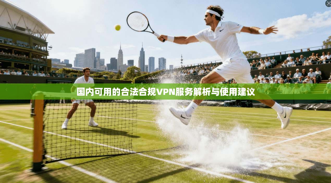 国内可用的合法合规VPN服务解析与使用建议