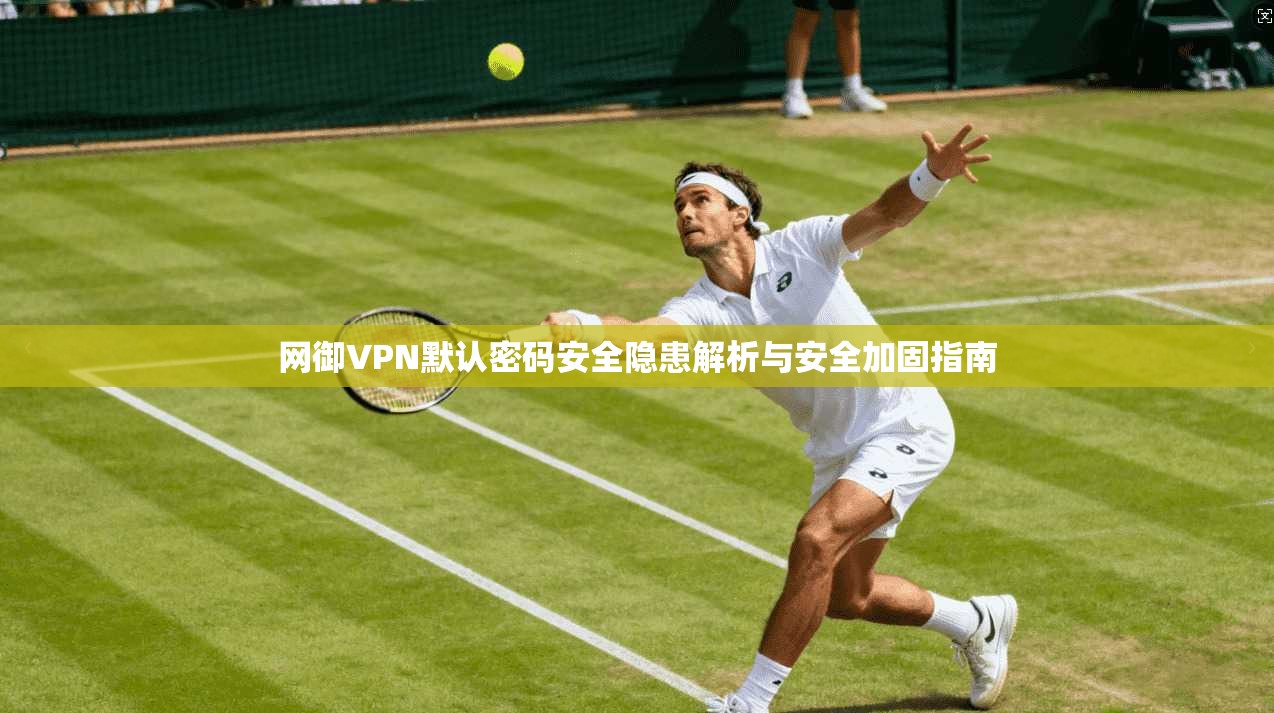 网御VPN默认密码安全隐患解析与安全加固指南 网御VPN默认密码安全隐患解析与安全加固指南